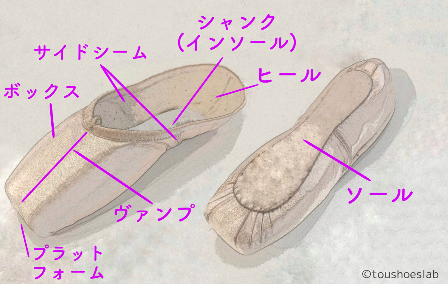 トウシューズの選び方(ポワント選びのコツを徹底解説)